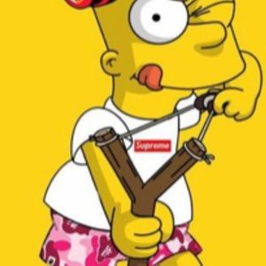 Meet your Posher, Carter